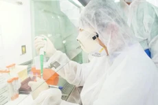 Chiều 19/9, không ca mắc COVID-19 mới