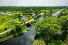 Ảnh chỉ mang tính minh họa. Nguồn Internet