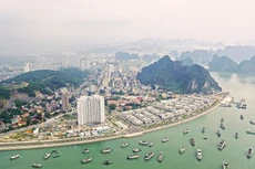 Ảnh chỉ mang tính minh họa. Nguồn Internet