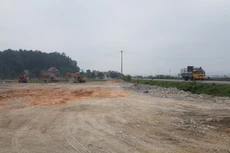 Ảnh chỉ mang tính minh họa. Nguồn Internet