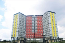 Ảnh chỉ mang tính minh họa. Nguồn Internet