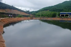 Ảnh chỉ mang tính minh họa. Nguồn Internet