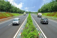 Ảnh chỉ mang tính minh họa. Nguồn Internet