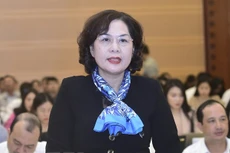 Bà Nguyễn Thị Hồng. Ảnh: TTXVN