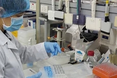 Sáng 29/9, Việt Nam đã 27 ngày không ghi nhận ca mắc mới COVID-19 ở cộng đồng