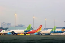 Bộ Giao thông vận tải “hỏa tốc” phát đi văn bản yêu cầu tạm
dừng hoạt động toàn bộ các loại hình vận tải chở khách tới TP. Đà Nẵng trong 15
ngày