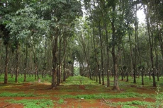 Ảnh chỉ mang tính minh họa. Nguồn Internet