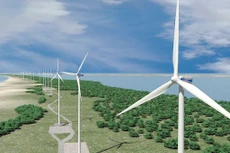 Ảnh chỉ mang tính minh họa. Nguồn Internet