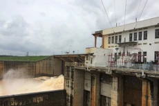 Ảnh chỉ mang tính minh họa. Nguồn Internet