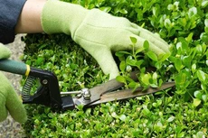 Ảnh chỉ mang tính minh họa. Nguồn Internet