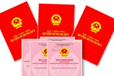 Từ ngày 8/2/2021, thêm 1 cơ quan nữa được quyền cấp, cấp đổi, cấp lại Sổ đỏ là Chi nhánh Văn phòng đăng ký đất đai. (Ảnh: KT)