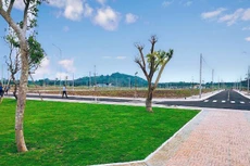 Ảnh chỉ mang tính minh họa. Nguồn Internet