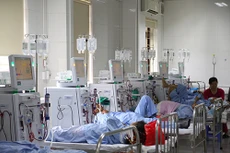 Ảnh chỉ mang tính minh họa. Nguồn Internet