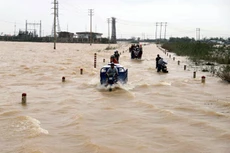 Bản tin thời sự sáng 12/11