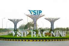 Ảnh chỉ mang tính minh họa. Nguồn Internet