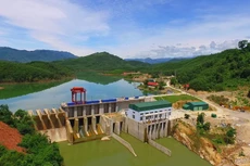 Ảnh chỉ mang tính minh họa. Nguồn Internet