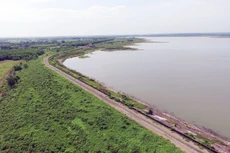 Ảnh chỉ mang tính minh họa. Nguồn Internet