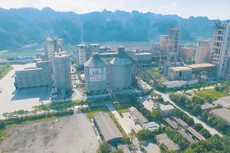 Vicem Bút Sơn doanh thu quý 2
đạt 795,8 tỷ đồng