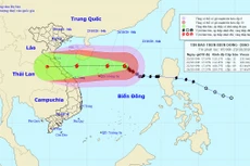 Đường đi của bão số 8.