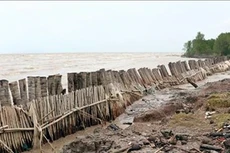 Ảnh chỉ mang tính minh họa. Nguồn Internet