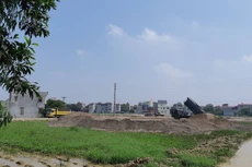 Ảnh chỉ mang tính minh họa. Nguồn Internet