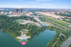 Ảnh chỉ mang tính minh họa. Nguồn Internet