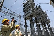EVN sắp bán đấu giá hơn 13 triệu cổ phần tại Tổng công ty thiết bị điện Đông Anh