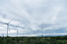 Ảnh chỉ mang tính minh họa. Nguồn Internet