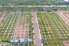 TPHCM công bố hàng loạt sai phạm xảy ra tại khu dân cư Nhơn Đức, Nhà Bè