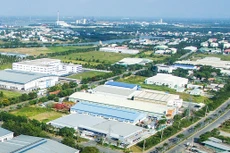 Ảnh chỉ mang tính minh họa. Nguồn Internet