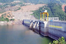 Ảnh chỉ mang tính minh họa. Nguồn Internet