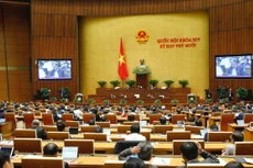 Đa số đại biểu không đồng ý tách luật cũng như giao Bộ Công an quản lý sát hạch, cấp giấy phép lái xe