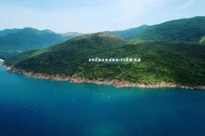 Ảnh chỉ mang tính minh họa. Nguồn Internet