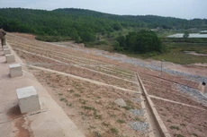 Ảnh chỉ mang tính minh họa. Nguồn Internet