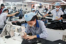 Ngành dệt may Việt Nam sản xuất hàng sang châu Âu. Ảnh tư liệu: TTXVN