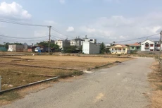 TPHCM: Cơ quan chức năng "hỏi thăm" nhiều "đầu nậu" đất ở huyện Bình Chánh