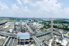 Ảnh chỉ mang tính minh họa. Nguồn Internet