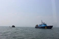 Ảnh chỉ mang tính minh họa. Nguồn Internet