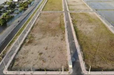 Dự án Khu dân cư xã Đông Lâm, huyện Tiền Hải,
tỉnh Thái Bình.