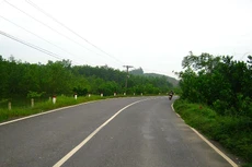 Ảnh chỉ mang tính minh họa. Nguồn Internet