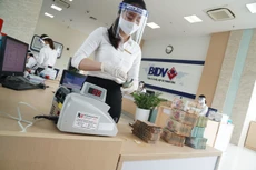 Ảnh chỉ mang tính minh họa. Nguồn Internet