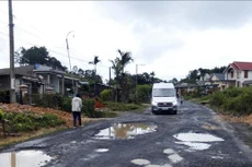 Ảnh chỉ mang tính minh họa. Nguồn Internet