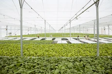 Đột phá để hiện thực hóa khát vọng phát triển