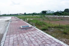 Các ô đất đấu giá đều thành công mức giá trúng vượt xa so với mức giá khởi điểm ban đầu