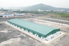 Ảnh chỉ mang tính minh họa. Nguồn Internet