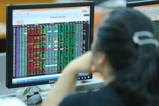 Ảnh minh họa. Nguồn: Vietnam+