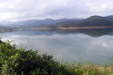 Ảnh chỉ mang tính minh họa. Nguồn Internet