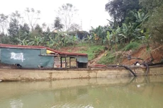 Ảnh chỉ mang tính minh họa. Nguồn Internet