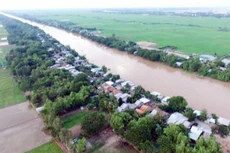 Ảnh chỉ mang tính minh họa. Nguồn Internet