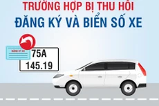 11 trường hợp bị thu hồi đăng ký và biển số xe từ ngày 1/8/2020